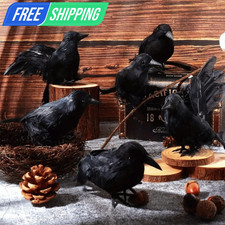 3Pcs Realistic Black Crow Raven Halloween Prop Decoration Outdoor Bird Decors US picture