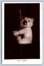 J98/ Teddy Bear Interesting RPPC Postcard c1910 What A Climb 187 picture