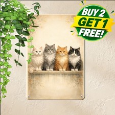 Four Maine Coon Cats Family Portrait Tin Sign Vintage Cute Pet Lover Wall Art picture