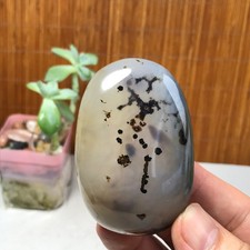 67mm Natural aquatic plants agate pretty Crystal specimens 142g A1633 picture