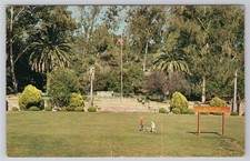 Postcard Hillcrest Park, Fullerton California Picnics, Amphitheatre, Fountain picture