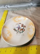 CIRCA 1910 Variety & Groceries ADVERTISING COLLECTOR PLATE picture