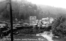 1911 Railroad Lumber Docks Evenwood West Virginia WV - Reprint picture
