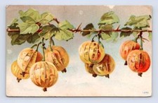 Gooseberries ~ Antique Embossed Fruit RUSO North Dakota RFD DPO McLean County picture