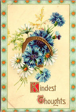 Antique Greeting Postcard Kind Thoughts Horseshoe Gel Gold Gilt Embossed c1910 picture
