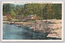 Hendersonville North Carolina A Summer Home in the Mountains Postcard 1930 picture