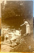 France RPPC Woman Feeding Swans in Bois de Boulogne Paris Commercial Photo Noyer picture
