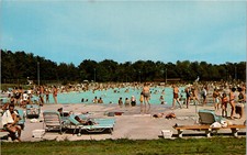 c1960s Saratoga Spa State Park Springs New York Pool Postcard Lot of 100 picture