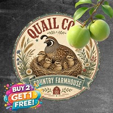Retro Quail Coop Country Vintage Round Metal Sign Farm Decor 8x8 picture