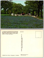 Granite Shoals Texas Lyndon B Johnson Statue Bluebonnets Postcard picture