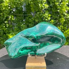 1.76LB Natural glossy Malachite transparent cluster rough mineral sample picture