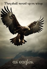 THEY SHALL MOUNT UP ON WINGS AS EAGLES *2X3 FRIDGE MAGNET* SCRIPTURE BIBLE VERSE picture