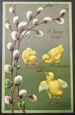 1909 Posted Easter Postcard - Chicks Pussy Willow Embossed Germany Antique picture