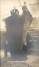 Cleveland OH African Mahogany Crotoch c1909 Real Photo Postcard bhn picture