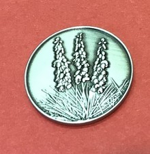 Yucca, New Mexico State Flower Token picture