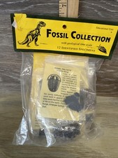 12 Piece Fossil Collection - 12 Specimens w/ Fact Sheet Great for Starting Out picture