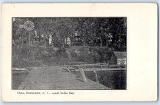 1905 Bonnicastle New York NY Vintage Postcard Dock Great Sodus Bay Unposted picture