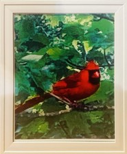 8x10 Red Cardinal In Tree Framed Photography Wall Art/Color Photo Print picture