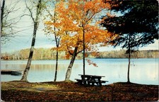 Fortune Lake Picnic Table Boat Crystal Falls Michigan Stamp Vintage Postcard picture