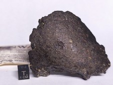 140 grams NWA 869 Meteorite L4-6 Brecciated Chondrite 