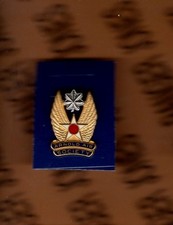 USAF AIR FORCE Arnold Air Society LTC 1 inch crest badge  picture
