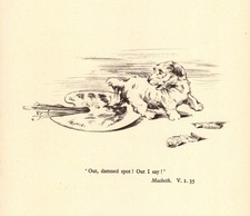 Vintage Sealyham Terrier Print Shakespeare MacBeth Quote Print 6977r picture