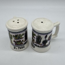 Salt & Pepper Shakers El Paso Cactus Stein Desert Flowers picture