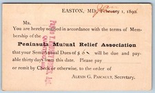 1890 EASTON MARYLAND PENINSULA RELIEF ASSOCIATION to TYASKIN MD POSTCARD picture