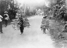 Indonesia Java children with a drap on device for firewood 1910 OLD PHOTO picture