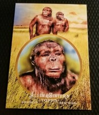 2011 Topps Allen & Ginter AUSTRALOPITHECUS Ascent Of Man Genus of Hominids AOM21 picture
