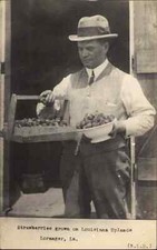 Loranger Tangipahoa Louisiana LA Strawberry Farmer SCARCE c1910 RPPC Postcard picture