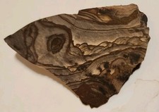 Rare AAA Grade Blue Biggs Picture Jasper High Quality ROUGH, From OR. (68 grams) picture