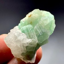 62 CT Terminated Natural Emearld Crystals bunch Specimen From Swat Pakistan picture