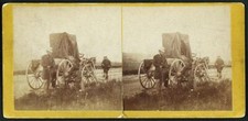 A rare specimen found on hill above Fort Riley, Kansas, 420 miles wes Old Photo picture