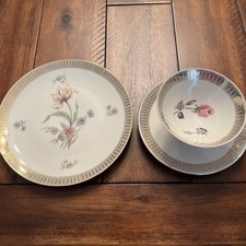 Winterling Tea Cup, Saucer, Plate picture