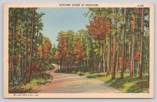 Vintage Autumn Scene Missouri Forest Road Linen Postcard S-384 Curteich picture
