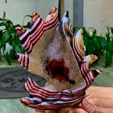 1.25LB Natural red agate hand carving nine-tailed fox quartz crystal healing picture