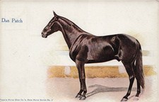 Phoenix Horse Shoe Company Advertising Dan Patch Pacing Stallion Postcard 25A picture
