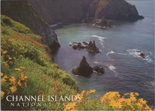 Impact Photo Graphics Cathedral Cove, Anacapa Island national 2019 postcard picture