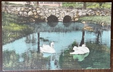 DANBURY RIDGEFIELD CT CONN~2 Swans Near Highway~Stone Bridge~Hand Colored PC picture