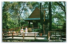 Descanso Gardens Japanese Tea Garden in La Canada California c1967 Postcard picture