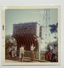 1973 Korean Pigeon Coop Snapshot Photo At Incheon Jayu Park Vintage Korea picture