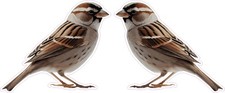StickerTalk Mirrored Sparrow Vinyl Sticker Sheet 3x2.5 inches picture