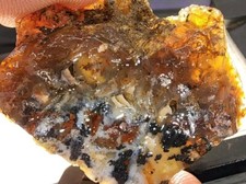 Powell Butte Plume Agate Beautiful High Quality Rare Rough From Oregon (28 Gram) picture