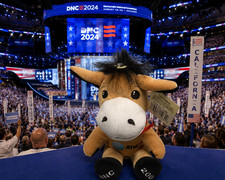 AT&T 2004 Boston DNC Democratic National Convention Plush Donkey picture