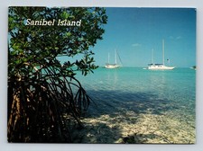 FL Sanibel Island 1995 Coastal View with Mangroves and Sailboats - Postcard picture