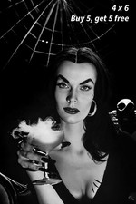 VAMPIRA - 4x6 Publicity Photo 🟣Classic Horror Hostess Glamour Portrait picture