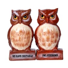 PT IRRITABLE OWLS SALT & PEPPER SHAKERS picture