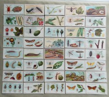 1914 W.D. & H.O. WILLS GARDEN LIFE 50 DIFFERENT TOBACCO CARD SET picture