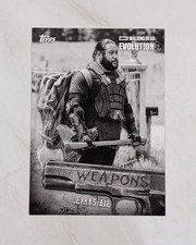 2017 Topps The Walking Dead Evolution Jerry's Axe /10 Weapons picture